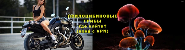 хмурый Армянск