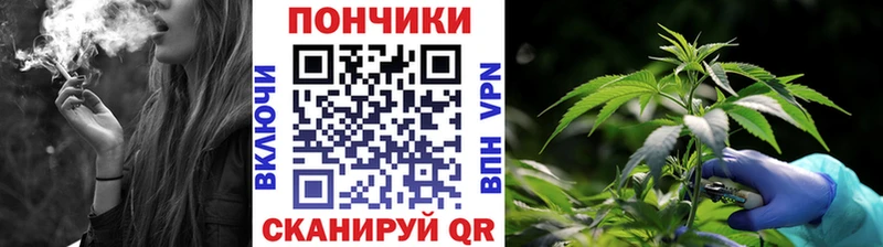Шишки марихуана индика Гуково